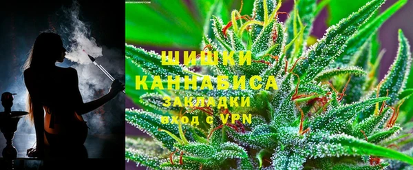 гидропоника Горнозаводск