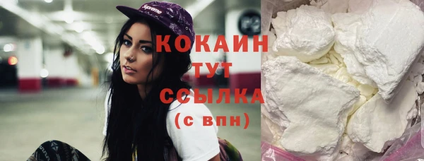 гидропоника Горнозаводск