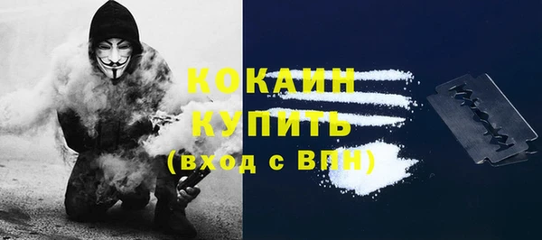 гидропоника Горнозаводск