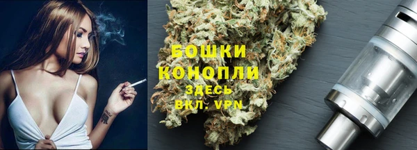 прущая мука Горняк