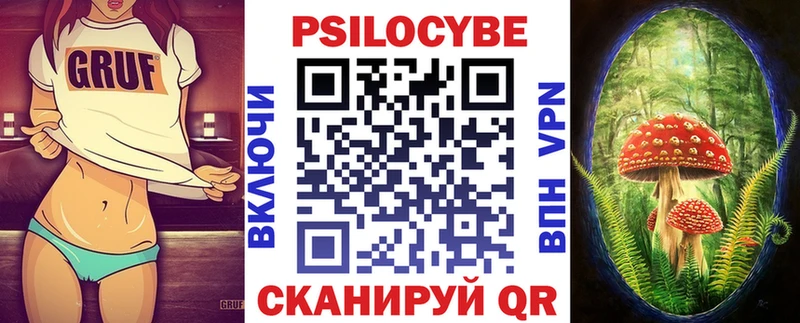 Псилоцибиновые грибы мицелий  купить наркоту  Няндома 